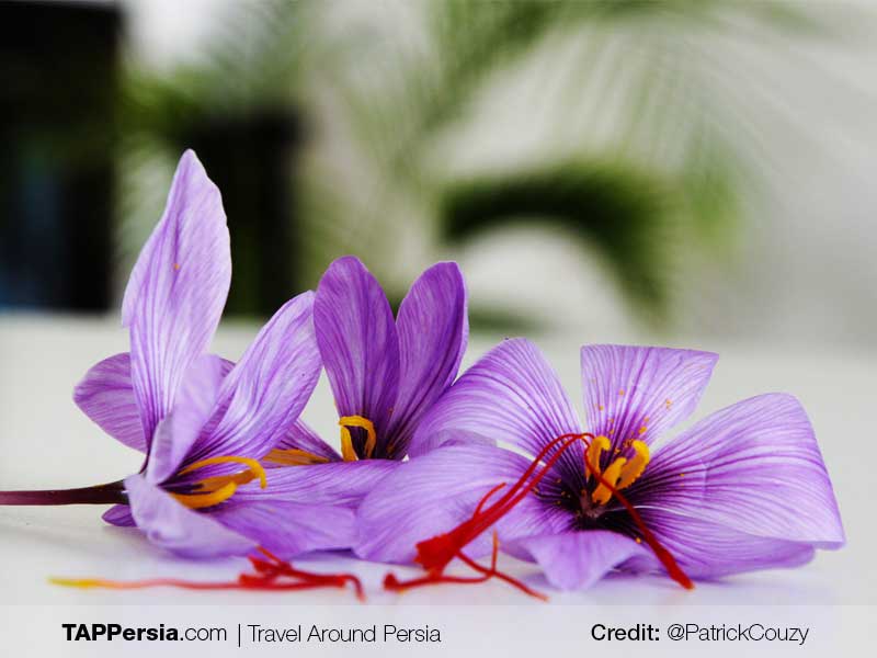 Saffron The Secret Ingredient Of Every Iranian Dish