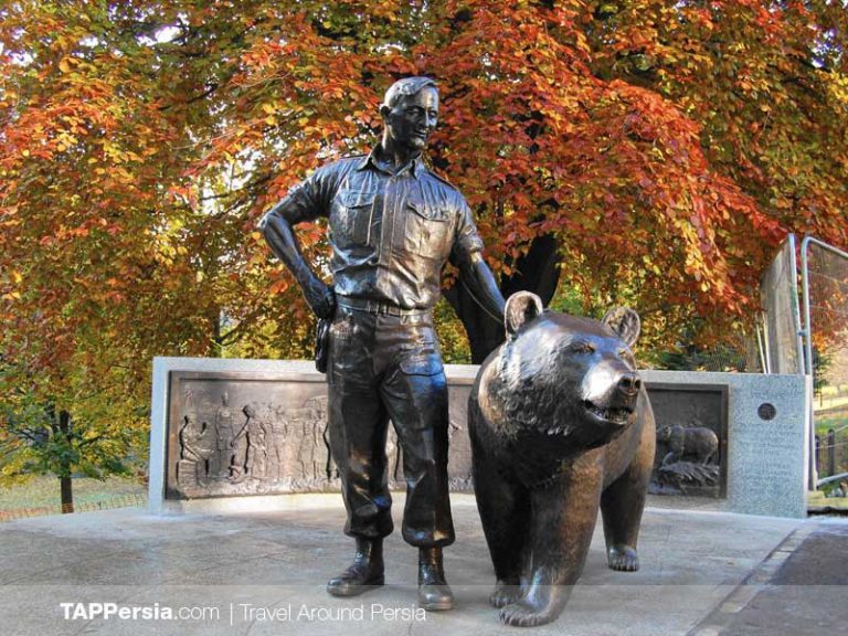 Wojtek the Persian Bear that Joined the Polish Army